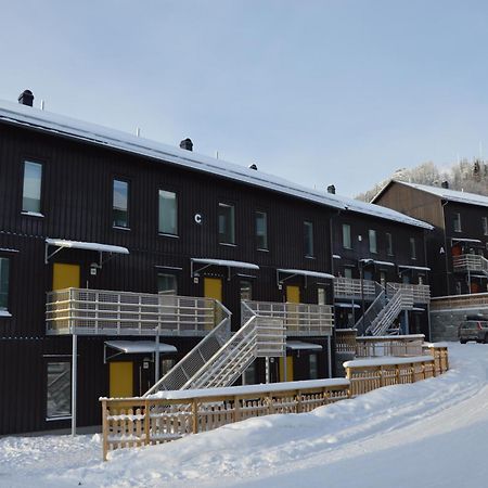Ski Lodge Funaesdalen Exterior photo